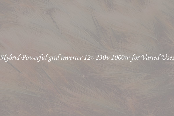 Hybrid Powerful grid inverter 12v 230v 1000w for Varied Uses