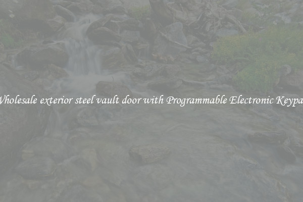 Wholesale exterior steel vault door with Programmable Electronic Keypad 