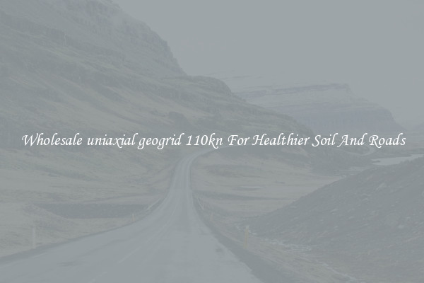 Wholesale uniaxial geogrid 110kn For Healthier Soil And Roads