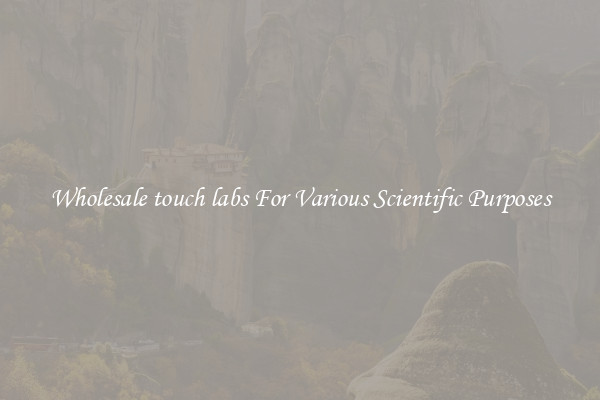 Wholesale touch labs For Various Scientific Purposes