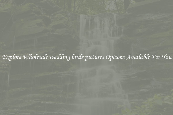 Explore Wholesale wedding birds pictures Options Available For You