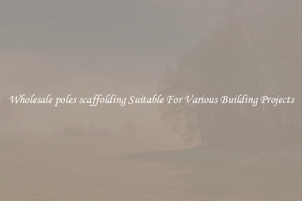 Wholesale poles scaffolding Suitable For Various Building Projects
