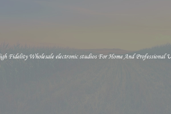 High Fidelity Wholesale electronic studios For Home And Professional Use