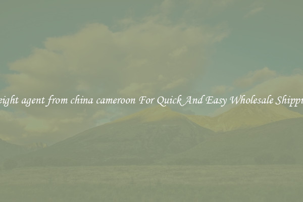 freight agent from china cameroon For Quick And Easy Wholesale Shipping