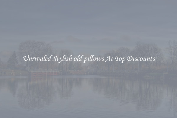 Unrivaled Stylish old pillows At Top Discounts