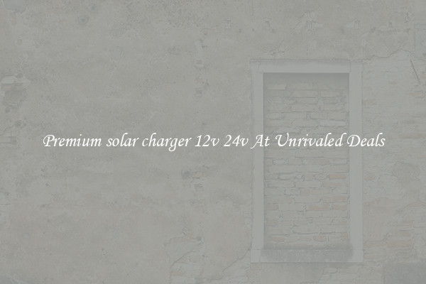 Premium solar charger 12v 24v At Unrivaled Deals