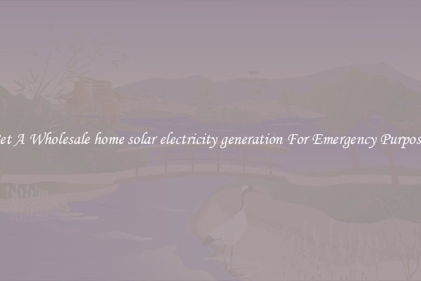 Get A Wholesale home solar electricity generation For Emergency Purposes