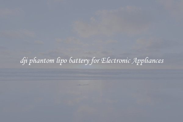 dji phantom lipo battery for Electronic Appliances