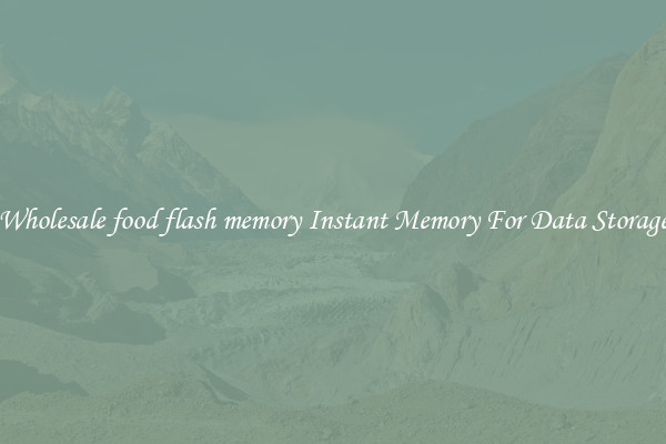 Wholesale food flash memory Instant Memory For Data Storage