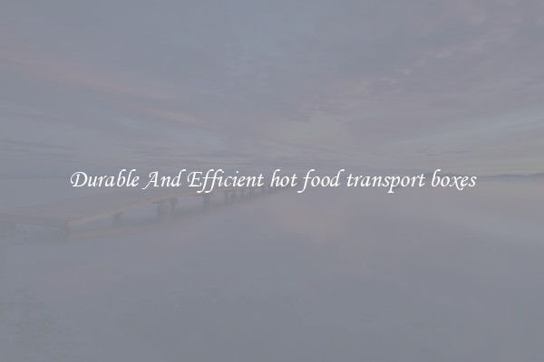 Durable And Efficient hot food transport boxes