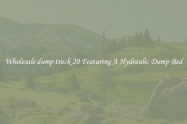Wholesale dump truck 20 Featuring A Hydraulic Dump Bed
