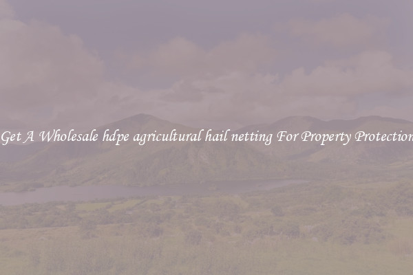 Get A Wholesale hdpe agricultural hail netting For Property Protection